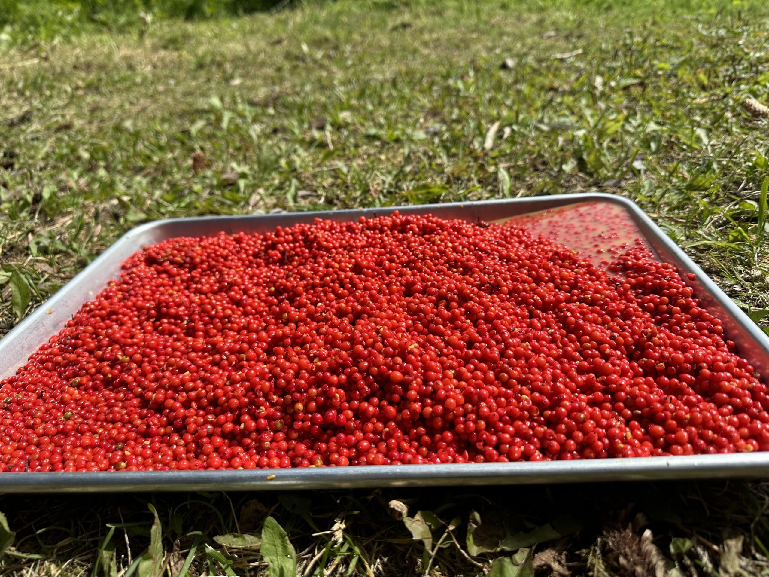 What do you even do over there?